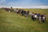 Avebury Rocks 20 Mile Walk