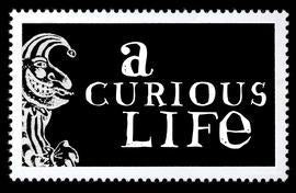 A Curious Life at the Cambridge Film Festival