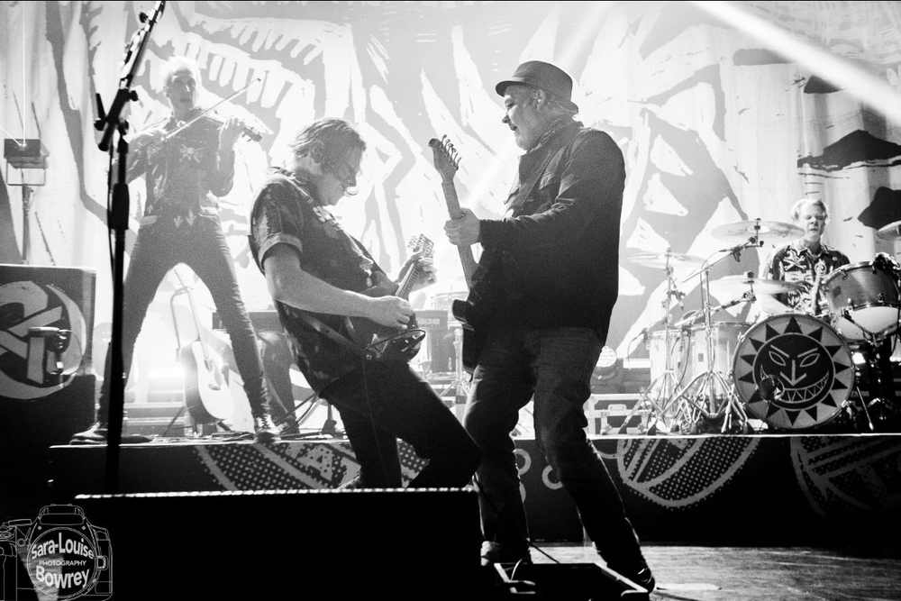 Levellers Live