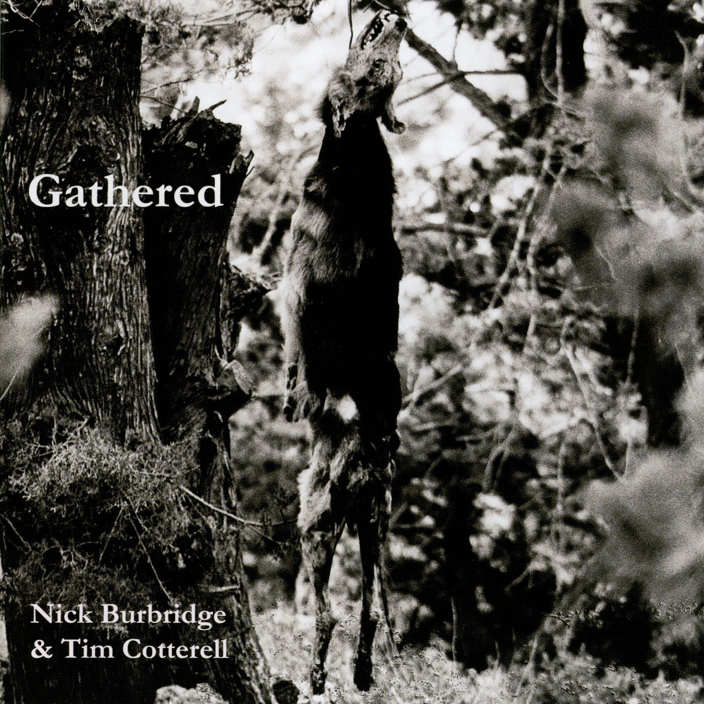 Nick Burbridge & Tim Cotterell - Gathered (mp3 / WAV)